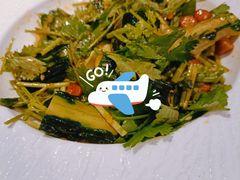 -新白鹿餐厅(百联中环店)