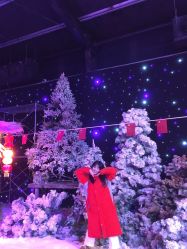 -圣名游乐城冰雪大世界