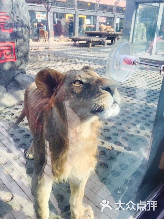 西安秦嶺野生動物園-圖片-西安周邊遊-大眾點評網