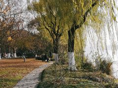 -苏堤停车场