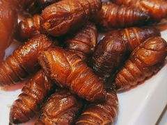 -杨记齐齐哈尔烤肉(总店)