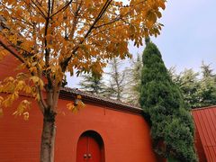 -洛阳白马寺