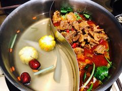 -手选潮汕鲜活牛肉火锅(二七广场店)