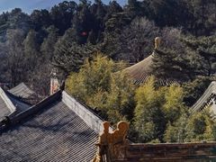 -潭柘寺景区