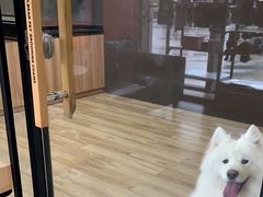 -宠宠熊宠物美容(星湖街店)
