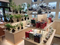 -本处·素食·融合料理(南油店)