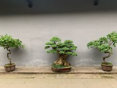 -成都杜甫草堂博物馆
