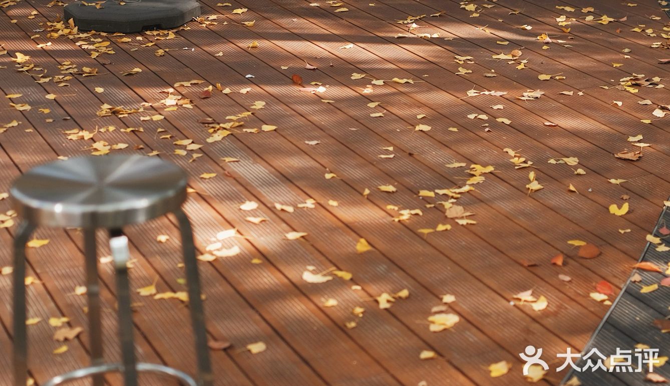 魔都秋天最火的银杏咖啡店