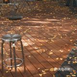 魔都秋天最火的银杏咖啡店