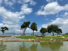 -呈贡滇池生态湿地公园