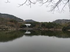 -白马涧龙池景区