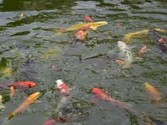 -吴作人艺术馆