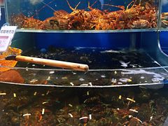 水产区-7fresh七鲜(大族广场店)
