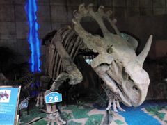 -诸城市恐龙博物馆
