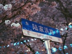 -上海南浦大桥长途旅游客运站