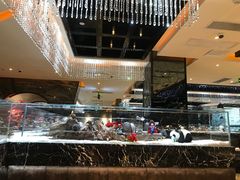 -红辣椒·川菜·火锅(大洋中心店)