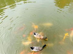 -白马涧龙池景区