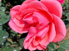 -人民公园(罗湖区)