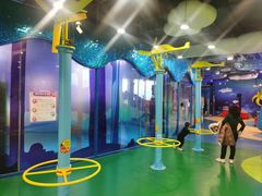 -中国宋庆龄青少年科技文化交流中心