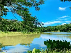 -叶挺将军纪念园