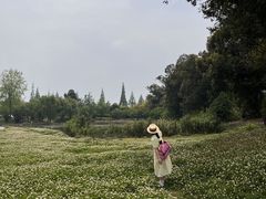 -两河城市森林公园