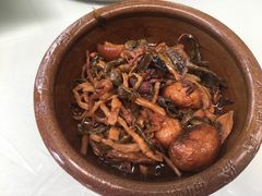 -食家鸽园