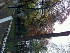 android_upload_pic-八大关景区