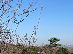 -北京西山国家森林公园