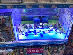 -TOYSRUS玩具反斗城(郑州熙地港店)