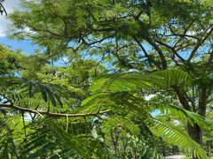 -西双版纳融创皇冠假日度假酒店