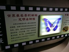 -上海昆虫博物馆