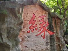-杭州黄龙洞