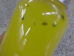 -老阿爸鲜鱼土菜(独墅湖店)