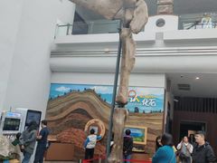 -自贡恐龙博物馆