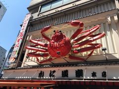 -蟹道乐(道顿堀本店)
