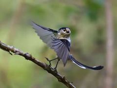 -人民公园(罗湖区)