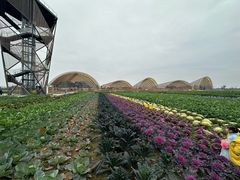 -中国天府农业博览园