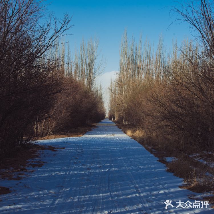 每次回家过年团聚，只要有他就是各种拍拍拍