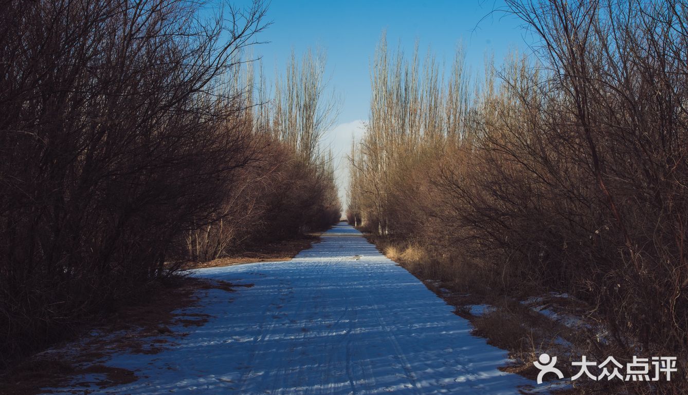 每次回家过年团聚，只要有他就是各种拍拍拍