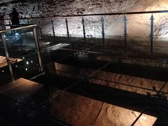 -世界恐龙谷景区