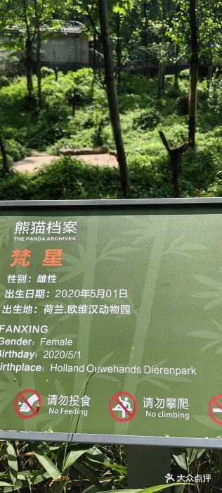 中国大熊猫保护研究中心雅安碧峰峡基地图片
