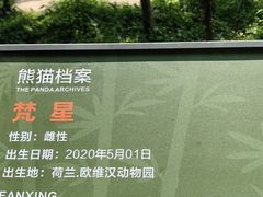 -中国大熊猫保护研究中心雅安碧峰峡基地