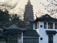 -红梅公园
