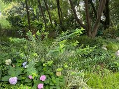 -成都市活水公园