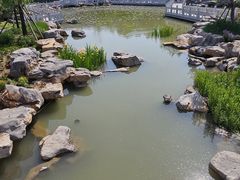 -莲池书院博物馆