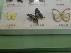 -蝴蝶泉公园