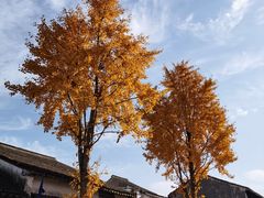 -荣阳楼(山塘街店)