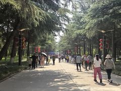 -黄河小浪底水利枢纽风景区