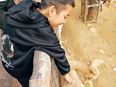 -石家庄市动物园