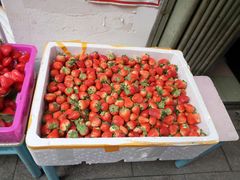 -老炳·七丛松甘草水果